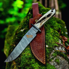 Load image into Gallery viewer, Damascus Stag Handle Bowie Knife Full Tang