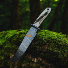 Load image into Gallery viewer, Damascus Stag Handle Bowie Knife Full Tang