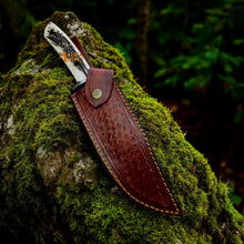 Load image into Gallery viewer, Damascus Stag Handle Bowie Knife Full Tang