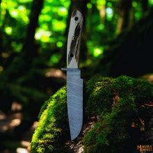 Load image into Gallery viewer, Damascus Stag Handle Bowie Knife Full Tang