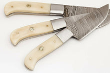 Load image into Gallery viewer, 3 Piece Damascus Kitchen Knife Set with Bone Handles, Slicing Carving and Chef Knives, Handmade Damascus Steel Professional Cooking Set