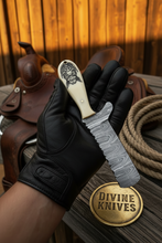 Load image into Gallery viewer, Scrimshaw Camel Bone Bull Cutter with Hand Engraved Bone Handle