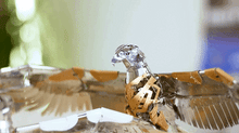 Load image into Gallery viewer, The Great Eagle Golden Armor SWAROVSKI® Crystal Edition