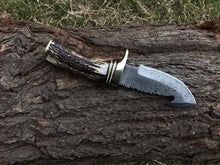 Load image into Gallery viewer, Damascus Gut Hook Skinning Knife – Stag Horn Handle