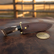 Load image into Gallery viewer, Damascus D-Guard Bowie Knife with Leather Sheath – Handcrafted Collectible Display Piece