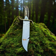 Load image into Gallery viewer, SS Damascus Gut Hook Bowie Knife Stag Antler Handle Sheath