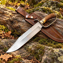 Load image into Gallery viewer, Custom D-Guard D2 Bowie Knife with Stag Antler Handle and Leather Sheath