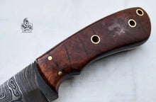 Load image into Gallery viewer, Damascus Skinner Knife 6” Fixed Blade rose wood Handle