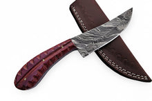 Load image into Gallery viewer, Damascus Trailing Point Skinner Knife with Red Wood Handle – 9 Inch Overall