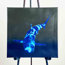 Load image into Gallery viewer, Reflective Shark 4 Layer Stencil Set