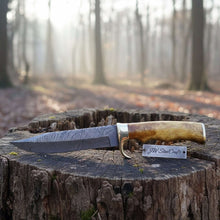 Load image into Gallery viewer, Sheffield Style Bowie Knife Damascus Clip Point Blade Brass Guard Bone Handle Handmade Fixed Blade
