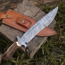 Load image into Gallery viewer, Damascus Stag Bowie Knife with Leather Sheath