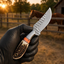 Load image into Gallery viewer, Western Belt Knife D2 Rasp Steel Stag Horn Handle