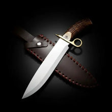 Load image into Gallery viewer, D2 Steel Bowie Knife – Mirror Polish, Stag Antler Handle &amp; Leather Sheath
