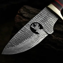 Load image into Gallery viewer, Handmade Damascus Skinner Knife – Stag Antler Handle &amp; Leather Sheath