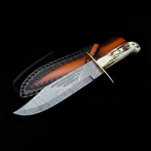 Load image into Gallery viewer, Handmade Damascus Bowie Knife – Stag Antler Handle, Brass Guard &amp; Leather Sheath