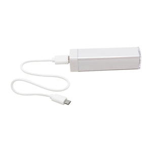 2200 MAH Powerbank to power LED Window Signs, Charge Phone, etc.